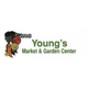 Young's Market & Garden Center