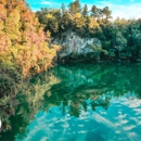 Staybridge Suites Ocala-Near Equestrian-Aquatics by IHG - Hotels