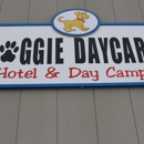 Doggie Daycare Of Cheshire - Pet Grooming