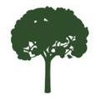 Absolute Tree Service gallery