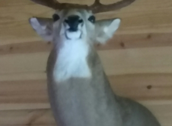 Spencer's Taxidermy - West Hamlin, WV. Spencer ' TAXIDERMY mounted this deer for us! We were Very pleased!!!