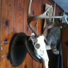 Hydes Archery & Taxidermy