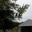 Andrews ArborCare - Tree Service