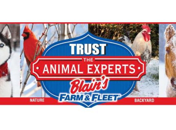 Blain's Farm and Fleet - Dodgeville, WI