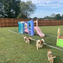 Bellarose Kennels - Pet Boarding & Kennels