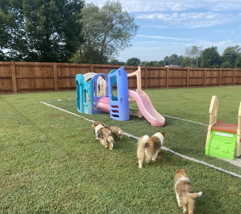 Bellarose Kennels - Ozark, MO