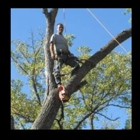 Norris Tree Service