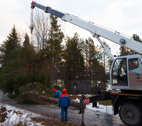 Long Island Tree Service - Holbrook, NY