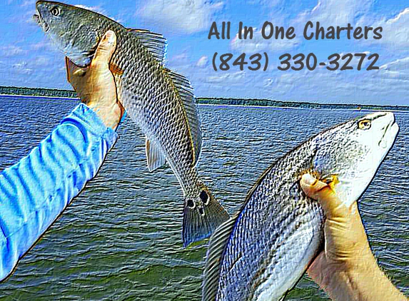 All In One Charters - Charleston, SC