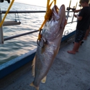 Osprey Fishing Trips - Fishing Charters & Parties