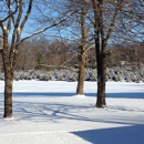 Moore Tree Farm - Christmas Trees