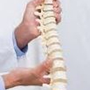 Meyer Chiropractic - Chiropractors & Chiropractic Services