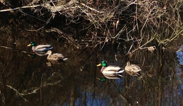 Bombay Hook Natl Wildlife Rfg - Smyrna, DE