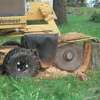 Stump Grinding By Jim gallery