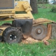 Stump Grinding By Jim