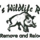 Bobby's Wildlife Removal - Pest Control Services
