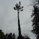 SkyView Tree Experts, Inc.