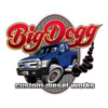 Big Dogg Custom Diesel Works gallery