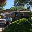 Saw Tree Service - Tree Service