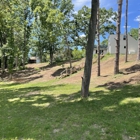 Thickets Habitat and Land Works
