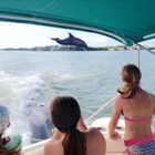 Island Time Dolphin and Shelling Cruise