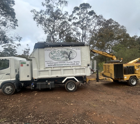 Ezi cut tree services - Hill Top, NSW