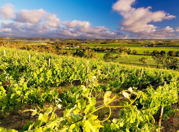 Tasmanian Wine Centre - Hobart, TAS