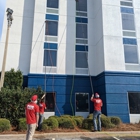 Fish Window Cleaning