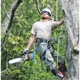 Nashville Tree Climber