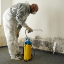 Biotek Environmental Mold Removal - Mold Remediation