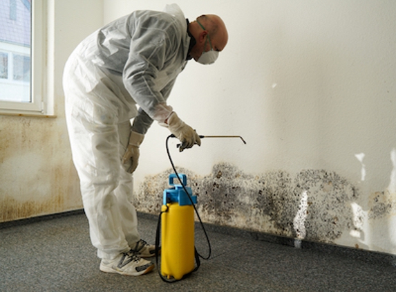 Biotek Environmental Mold Removal - Columbia, SC