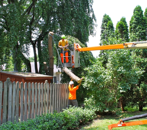 Cutting Edge Tree professionals LLC - Boalsburg, PA