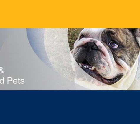 Brimbank City Council - All Enquiries - Sunshine, VIC. If you've lost your pet, ring us on 9249 4000
