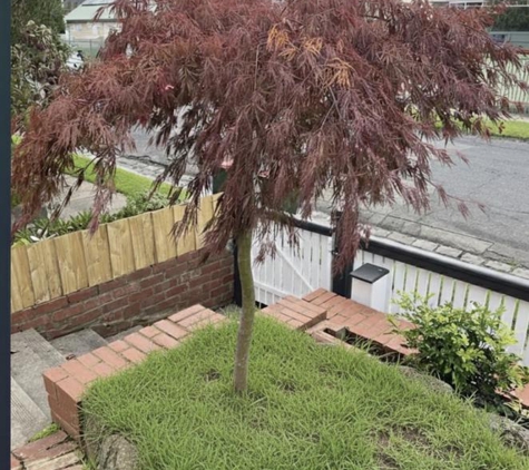 Westy Kid Gardening - Albanvale, VIC