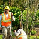 All Purpose Gas Solutions and Tanks - Gas Lines-Installation & Repairing