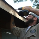 Apex Wildlife Control - Bee Control & Removal Service