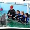 Clearwater Marine Aquarium Inc gallery