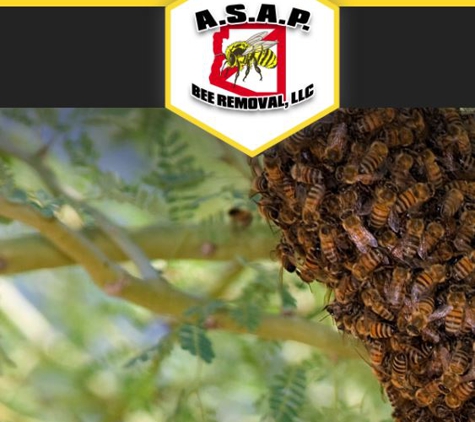 A.S.A.P. Bee Removal, LLC - Phoenix, AZ. ASAP Bee Removal  602-751-1002