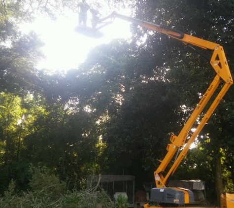 A 5 star tree service - Milton, FL