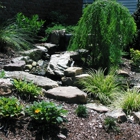 Deason Landscape & Irrigation