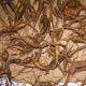 Certified Wild Ginseng Inc