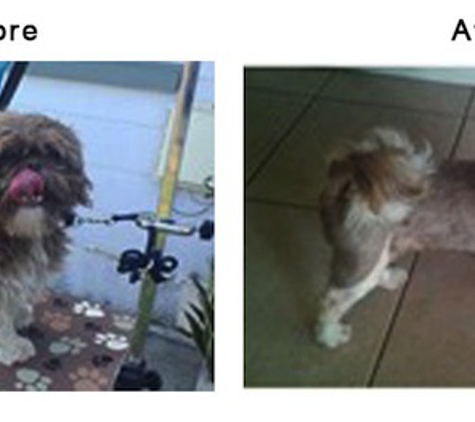 FancyFur Mobile Dog Grooming - Tampa, FL