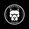 Bigg Dog Drains gallery