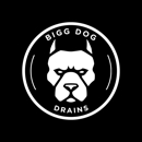 Bigg Dog Drains - Plumbing-Drain & Sewer Cleaning