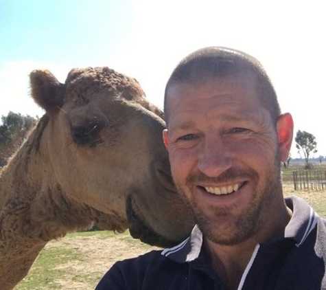 Wangaratta Veterinary Clinic - Wangaratta, VIC