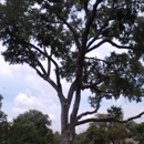 Southwest Tree Care - Tree Service