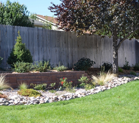 From Thorns To Fir Trees Irrigation - Aurora, CO