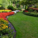 THE  YARD  MAN - Landscape Designers & Consultants