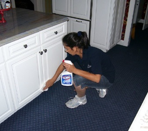 Maria's professional house cleaning - Fredericksburg, VA