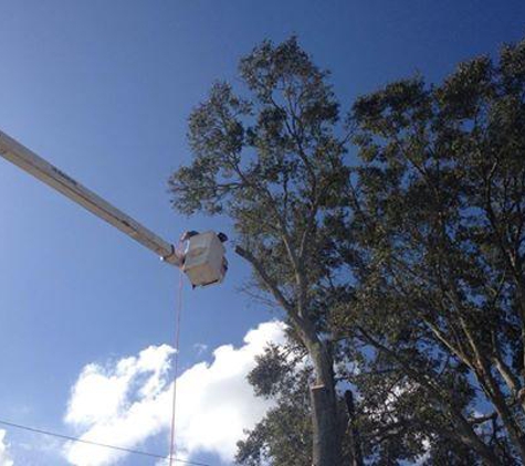 S & L Stump Grinding - Marrero, LA